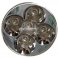 iParaAiluRy® 1200 Lumens 5xCREE Q5 New LED Flashlight Drop-in Module for WF-500/WF-900/TR-800/TR-1200