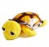 iParaAiluRy® Sleep Turtle With MP3 Playback Story Star Projector With Pink Blue Yellow Color