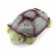 iParaAiluRy® Night Light Star Fun Constellation Turtle Lamp Twilight Sea Turtle Green