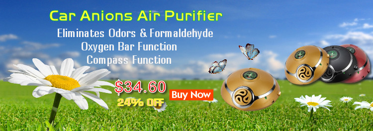 Car Anions Air Purifier